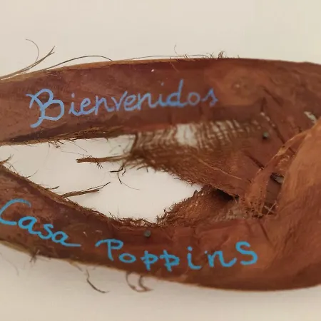 Casa Poppins *