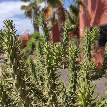 Lägenhet Oasis Tamarindo Poppins Pool E Terrace Corralejo